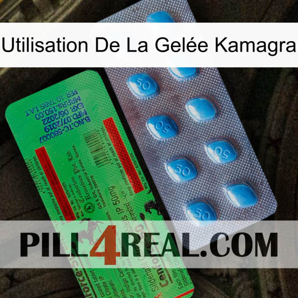 Utilisation De La Gelée Kamagra new03.jpg